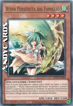 WYNN POSSEDUTA DAL FAMIGLIO