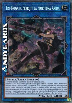 TRI-BRIGATA FERRIJIT LA FIORITURA ARIDA