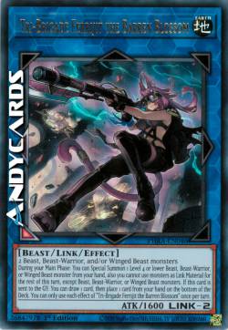 TRI-BRIGATA FERRIJIT LA FIORITURA ARIDA