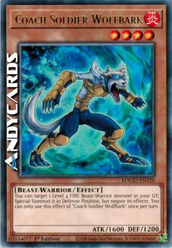 SOLDATO ALLENATORE LUPOABBAIA