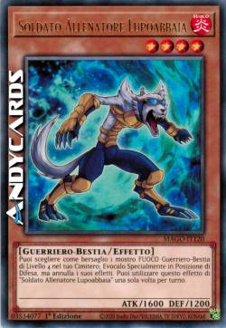 SOLDATO ALLENATORE LUPOABBAIA