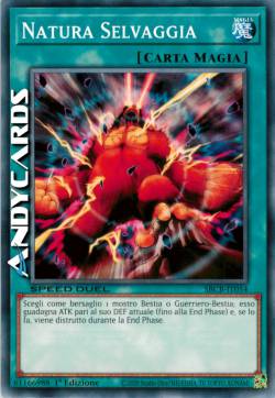 NATURA SELVAGGIA