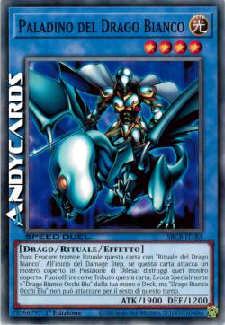 PALADIN OF WHITE DRAGON