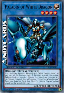PALADIN OF WHITE DRAGON