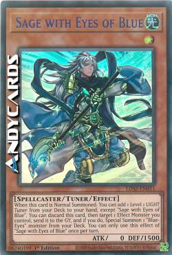 SAGGIO CON GLI OCCHI DI BLU