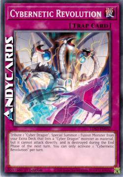 CYBERNETIC REVOLUTION