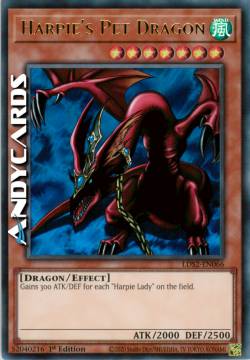 DRAGHETTO DELLE ARPIE