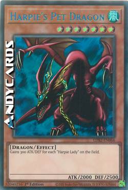 DRAGHETTO DELLE ARPIE