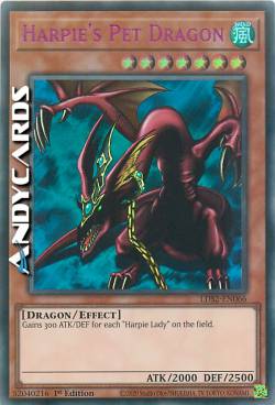 DRAGHETTO DELLE ARPIE