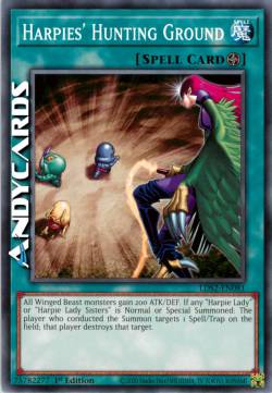 TERRENO DI CACCIA DELLE ARPIE