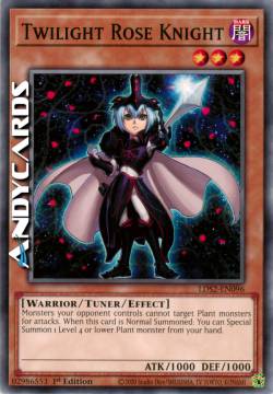 CAVALIERE DELLA ROSA DEL CREPUSCOLO