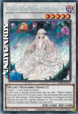 FANCIULLA ROSA DEL GIARDINO