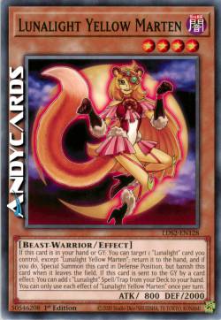 MARTORA GIALLA DELLA LUCELUNARE