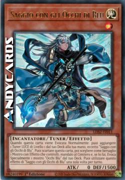 SAGGIO CON GLI OCCHI DI BLU