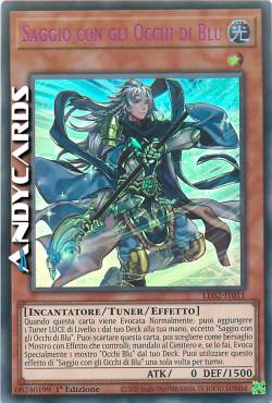 SAGGIO CON GLI OCCHI DI BLU