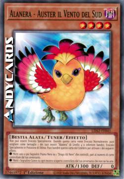 BLACKWING - AUSTER THE SOUTH WIND