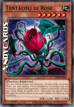 TENTACOLI DI ROSE