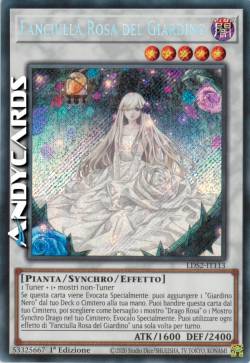 FANCIULLA ROSA DEL GIARDINO