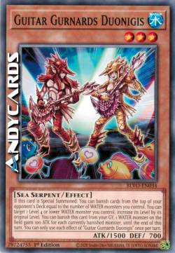 GALLINELLE CHITARRA DUONIGIS