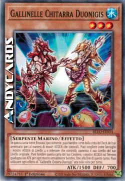 GALLINELLE CHITARRA DUONIGIS