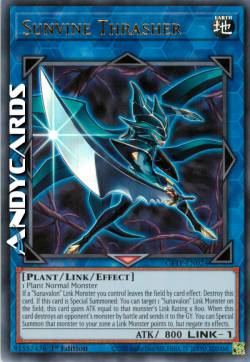 SOLARVITE DISTRUTTRICE