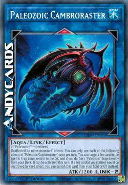 CAMBRORASTER PALEOZOICA