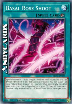 VIRGULTO ROSA BASALE