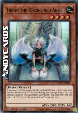 THRON L'ANGELO DISCIPLINATO