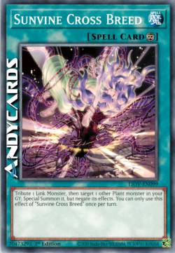 SOLARVITE INCROCIO DI SPECIE