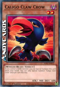 CORVO ARTIGLI CALIGINOSI