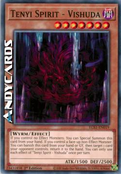 SPIRITO TENYI - VISHUDA