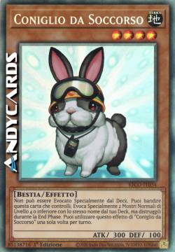 CONIGLIO DA SOCCORSO