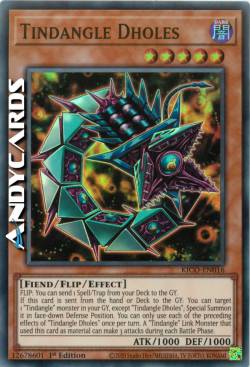 DHOLES TINDANGOLO