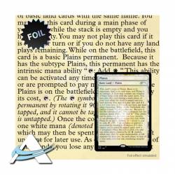 Secret Lair Drop Series: The Full-Text Lands FOIL - EN