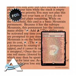 Secret Lair Drop Series: The Full-Text Lands FOIL - EN