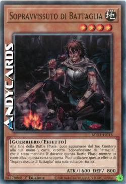 SOPRAVVISSUTO DI BATTAGLIA