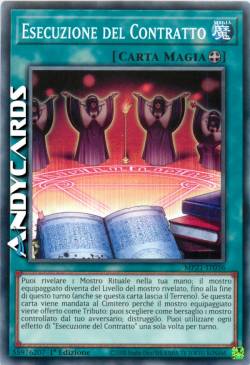 ESECUZIONE DEL CONTRATTO