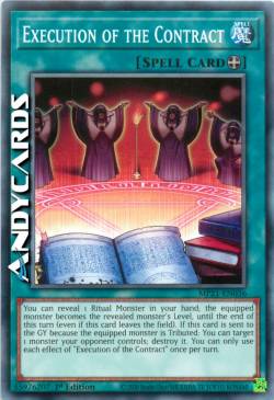 ESECUZIONE DEL CONTRATTO