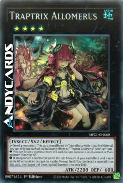 TRAPPOLATRICE ALLOMERUS