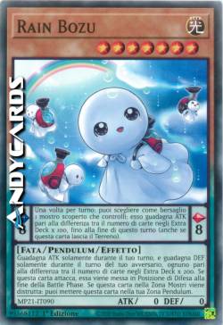 RAIN BOZU
