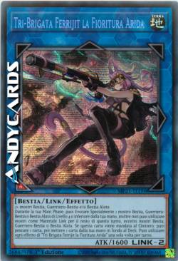 TRI-BRIGATA FERRIJIT LA FIORITURA ARIDA