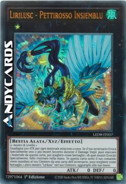 Lirilusc - Pettirosso Insiemblu