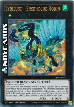 Lirilusc - Pettirosso Insiemblu