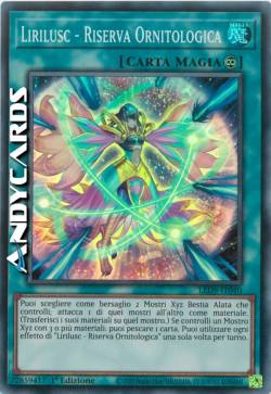 Lirilusc - Riserva Ornitologica