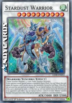 GUERRIERO POLVERE DI STELLE