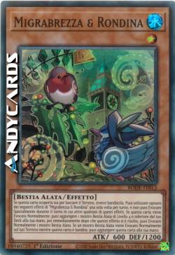 Migrabrezza & Rondina