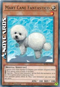 Mary Cane Fantastico