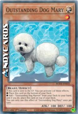 Mary Cane Fantastico