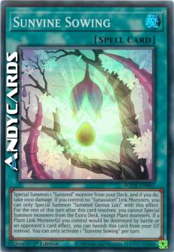 Solarvite Seminagione