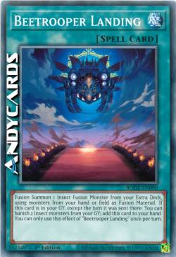 Atterraggio Scarasoldato